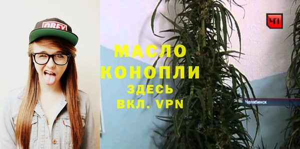 дживик Абинск